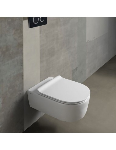 Ceramica Flaminia Link Vaso Sospeso Con Sedile...