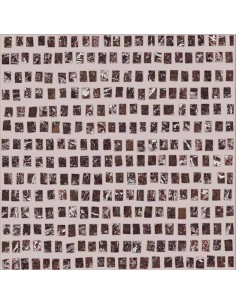 Ceramica Fioranese Marmorea Intensa Lastra Decorativa In...